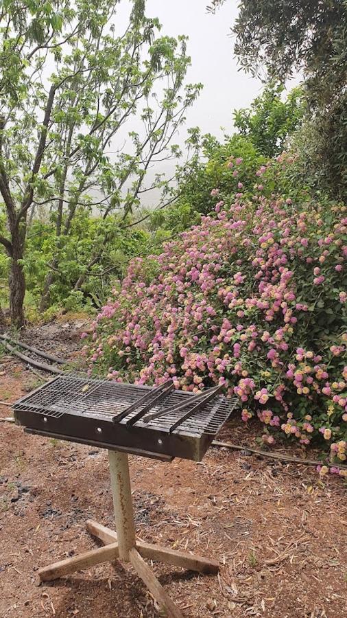 Vila Sharvit Hakesem Livnim Exteriér fotografie