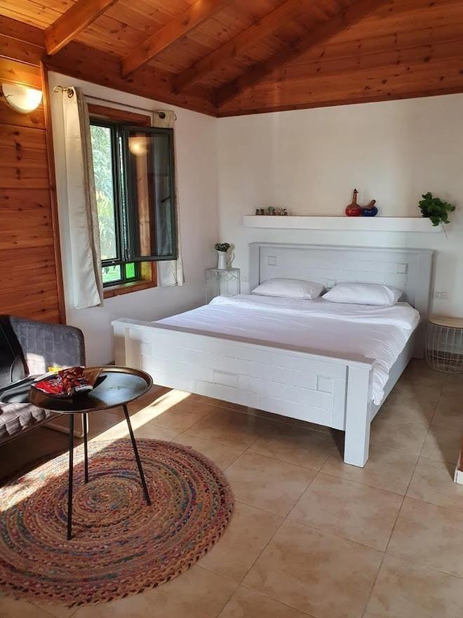 Vila Sharvit Hakesem Livnim Exteriér fotografie